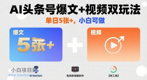 AI头条号爆文+视频双玩法，单日5张+，小白可做【附工具】-小白项目分享网
