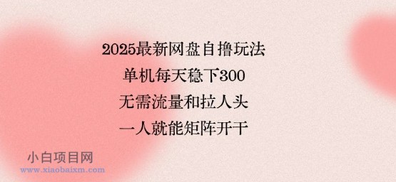 2025最新网盘自撸玩法，单机每天稳下3张，无需流量和拉人头，一个人就可轻松矩阵，全网独一份【揭秘】-小白项目分享网