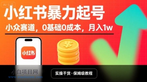 小红书暴力起号，小众赛道，0基础0成本，月入1w-小白项目分享网