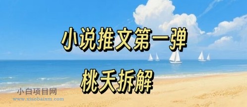 小说推文项目操作全流程第一弹，0粉就能做，门槛低非常适合新手-小白项目分享网