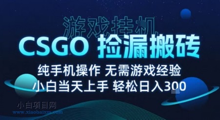 8月最新游戏搬砖，CSGO纯挂G，不需要玩游戏，实现真挂G，月入1W+【揭秘】-小白项目分享网
