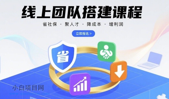 线上团队搭建课程，省社保，聚人才，降成本，增利润，团队管理必看-小白项目分享网