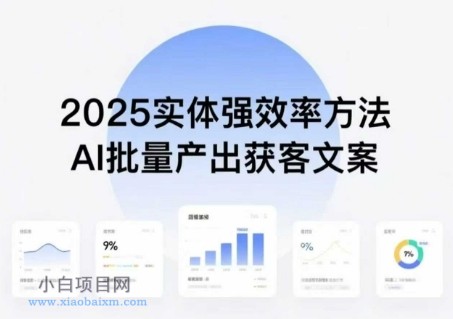 实体强效率方法：AI批量产出获客文案，2025年普通人拥抱AI，实现实体创收-小白项目分享网