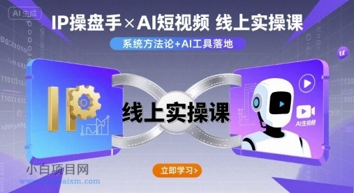 IP操盘手线上实操课，AI短视频线上课-小白项目分享网