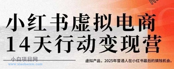 小红书虚拟电商14天变现训练营，虚拟产品，2025年普通人在小红书最后的搞钱机会（更新）-小白项目分享网