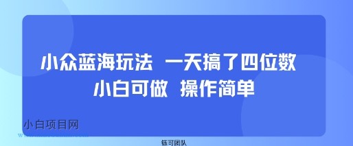 小众蓝海玩法 一天搞了四位数 小白可做 操作简单-小白项目分享网