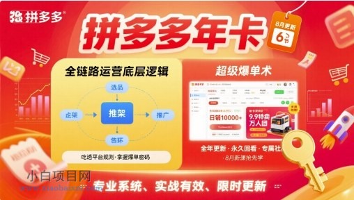 拼多多年卡【8月更新6节】拼多多全链路运营底层逻辑，超级爆单术-小白项目分享网