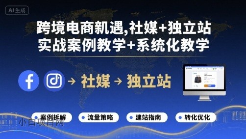 跨境电商新机遇，社媒+独立站，实战案例教学+系统化教学-小白项目分享网