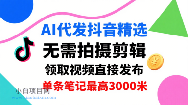 AI代发抖音精选，领取视频直接发布，单号每天领取3条，单条笔记最高3k，无需拍摄剪辑，懒人福利-小白项目分享网