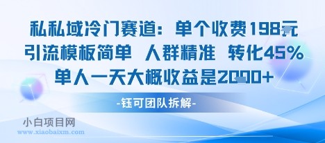 私域冷门赛道单个收费198米引流模板简单人群精准 45%的转化率单人一天大概收益多张-小白项目分享网