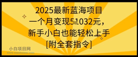 2025最新蓝海项目一个月变现1w+新手小白也能轻松上手【附全套指令】-小白项目分享网