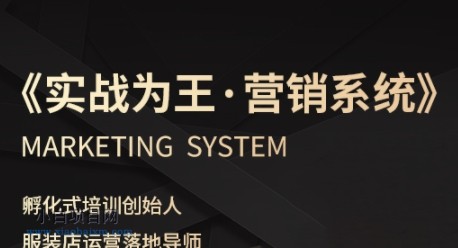 服装老板必修课《实战为王-营销系统》实现业绩被动式增长-小白项目分享网