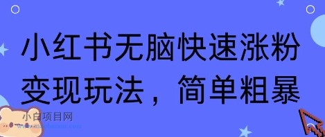 小红书无脑快速涨粉变现玩法，简单粗暴-小白项目分享网