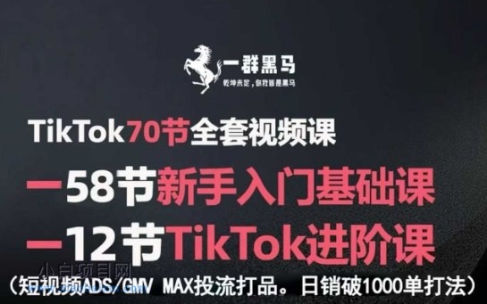 TikTok全套视频课，新手入门+进阶课，短视频ADS-GMV MAX投流打品，日销破1000单打法-小白项目分享网