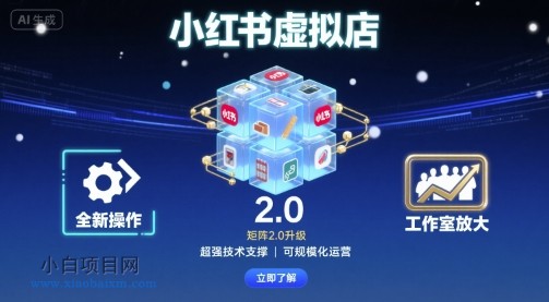 小红书虚拟店矩阵2.0，全新操作，超强技术，可工作室放大-小白项目分享网