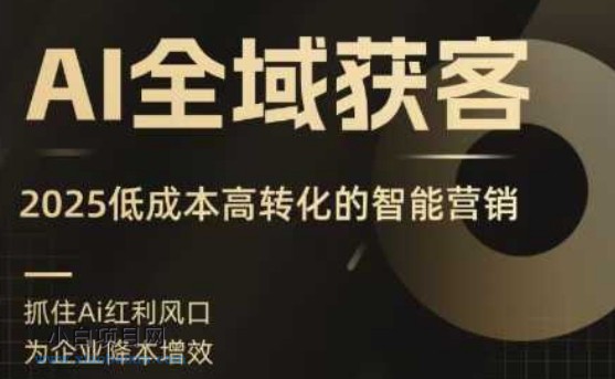 AI全域获客实训营，2025低成本高转化的智能营销，精准找客，高效营销-小白项目分享网