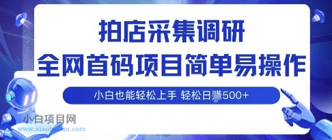 拍店采集调研，全网首码项目，简单易操作， 小白也能轻松上手，多账号操作，轻松日入5张【揭秘】-小白项目分享网