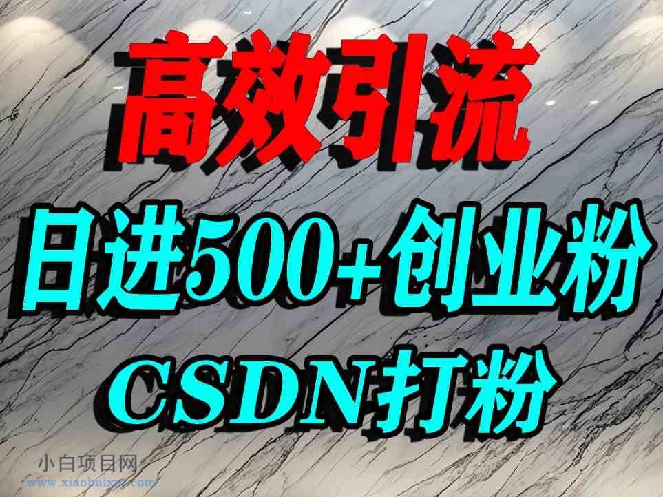 怎么打创业粉？CSDN又一个你不知道的打粉引流神秘平台，单人日引500+精准流量-小白项目分享网