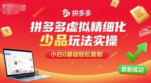 拼多多虚拟精细化少品玩法实操，小白0基础轻松复制-小白项目分享网