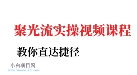 小红书聚光投流实操课程，教你直达捷径（更新）-小白项目分享网