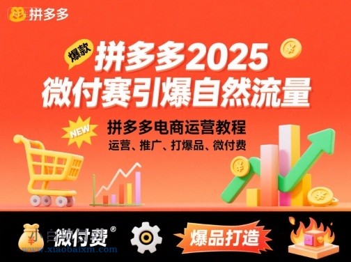 拼多多2025微付赛引爆自然流量，拼多多电商运营教程，运营、推广、打爆品、微付费-小白项目分享网