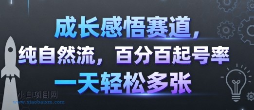成长感悟赛道，纯自然流，百分百起号率 一天轻松多张-小白项目分享网