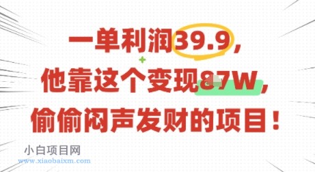 一单利润39.9，有人靠这个变现几十个，偷偷闷声发财的项目-小白项目分享网