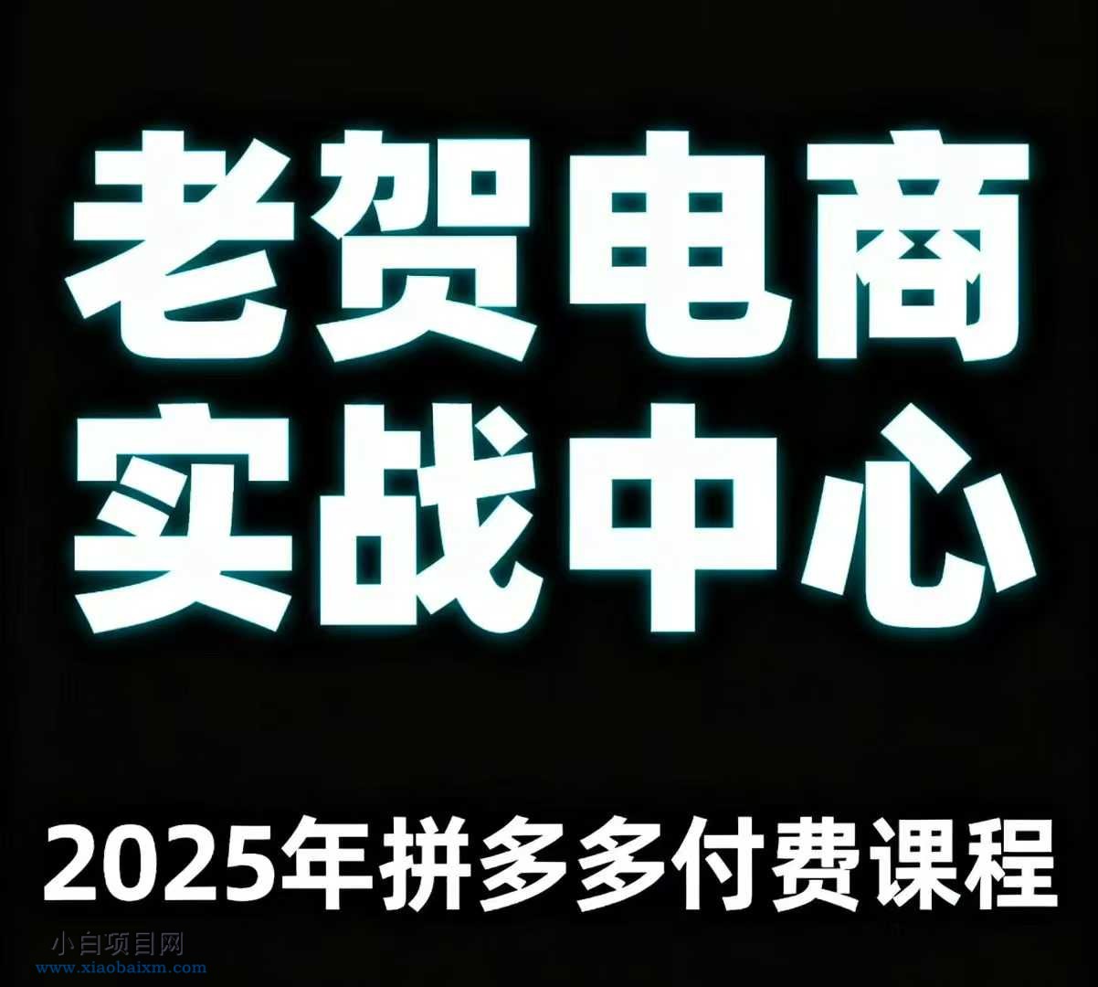 老贺电商2025年拼多多付费课程，用通俗易懂的方法告诉你多多怎么玩-小白项目分享网