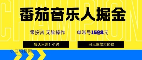 番茄音乐人掘金，单账号最高可撸1k+，可无限矩阵去做，零投入-小白项目分享网