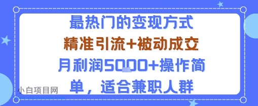 小众赛道玩法：当下最热门的变现方式，精准引流+被动成交月利润5k+操作简单，适合兼职人群-小白项目分享网