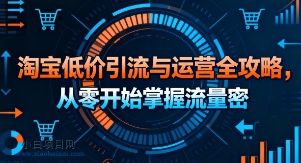 淘宝低价引流与运营全攻略，从零开始掌握流量密码-小白项目分享网
