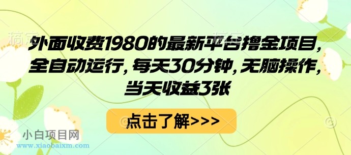 外面收费1980的最新平台撸金项目，全自动运行，每天30分钟，无脑操作，当天收益3张【揭秘】-小白项目分享网