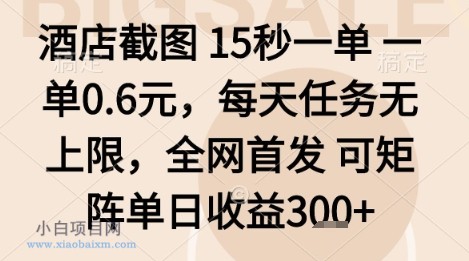 酒店截图项目，15秒一单，一单0.6米，每天任务无上限，全网首发可矩阵单日收益3张+【揭秘】-小白项目分享网