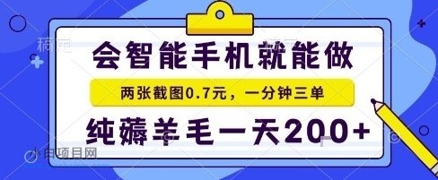 手机项目,二十秒一单,纯薅羊毛一天2张+做就有【揭秘】-小白项目分享网