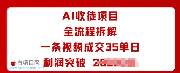 AI收徒项目全流程拆解一条视频成交35单日利润突破1k+-小白项目分享网