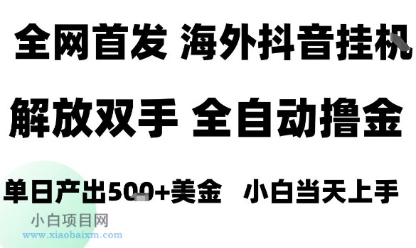 海外抖音无人直播,单日产出1.5k+,长期稳定,新手可玩,无脑操作【揭秘】