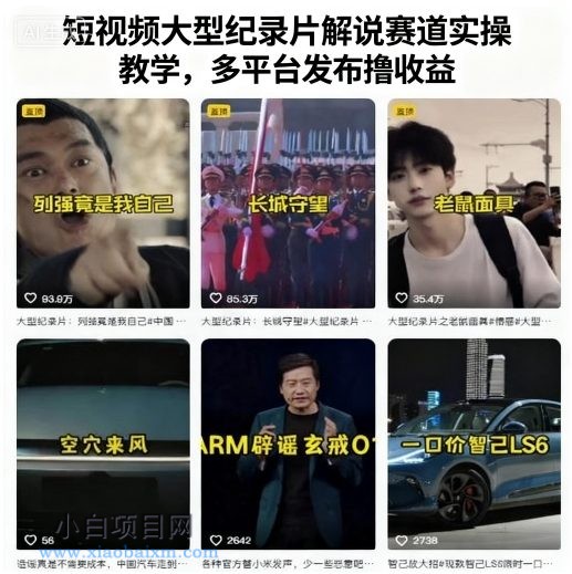 短视频大型纪录片解说赛道实操教学，多平台发布撸收益-小白项目分享网