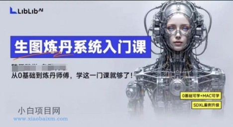 LibLibAI哩布哩布生图炼丹系统入门课，从生图到炼丹，只学这一门就够了-小白项目分享网