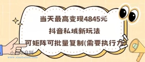 当天最高变现1k+，抖音私域新玩法，可矩阵可批量复制-小白项目分享网