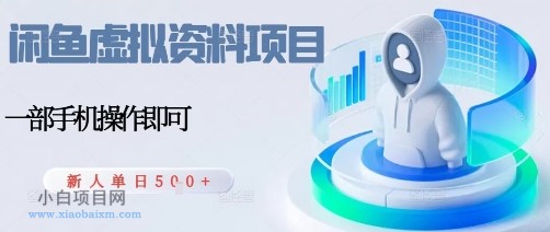 闲鱼虚拟资料项目，每天一小时，新人日入5张-小白项目分享网