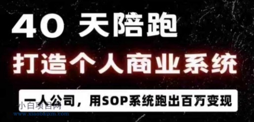 40天陪跑打造个人商业系统，一人公司，用SOP系统跑出百W变现-小白项目分享网