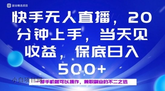 20分钟能上手，当天就能出收益，不賺钱我赔你，兼职副业的不二之选【揭秘】-小白项目分享网