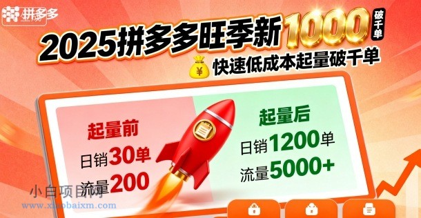 2025拼多多旺季新老店铺——快速低成本起量破千单-小白项目分享网