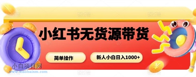 小红书无货源带货项目，简单无脑，新人小白日入多张-小白项目分享网