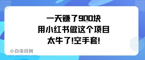 一天挣了9张用小红书做这个项目太牛了，空手套-小白项目分享网