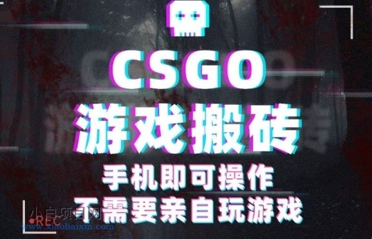 CSGO游戏挂G捡漏，单日扫货5张+，年底小高峰上车可吃肉，手机即可操作，兼职副业创业网创【揭秘】-小白项目分享网