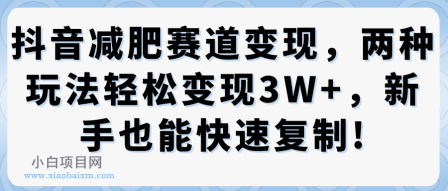 抖音减肥赛道变现，两种玩法轻松变现3W+，新手也能快速复制-小白项目分享网