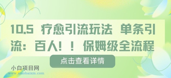 疗愈引流玩法，单条引流百人，保姆级全流程-小白项目分享网