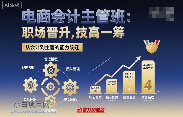 电商会计主管班，职场晋升，技高一筹-小白项目分享网