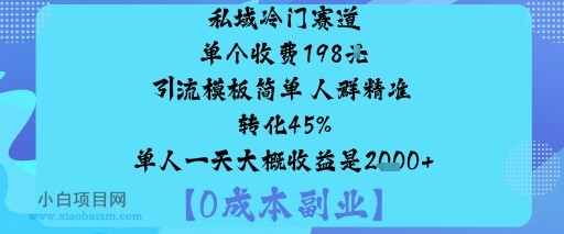私域冷门赛道:单个收费198米引流模板简单人群精准转化45%单人一天大概收益是1k+-小白项目分享网